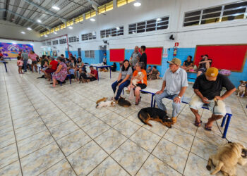 A castração é destinada para cães e gatos sem raça definida e com idade mínima de 4 meses.