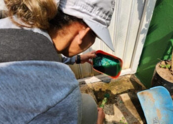 Distrito do Rechã, em Itapetininga, recebe o 2º Mutirão contra a Dengue de 2025