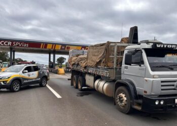 Roubos de veículos seguiram o mesmo padrão e reduziram 15,4% em um ano, passando de 37.471 casos para 31.696. Foto: Divulgação/Governo de SP.