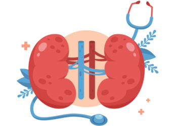 13 de Março - Dia Mundial do Rim (Reprodução TVI)