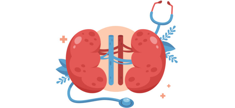 13 de Março - Dia Mundial do Rim (Reprodução TVI)