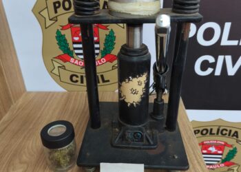 Maconha cultivada em estufa abastecia clientela de alto padrão em Itapetininga