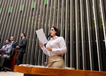 Simone incluiu no parecer a regulamentação do cordão do quebra-cabeça como símbolo oficial das pessoas com TEA, garantindo que seja reconhecido e aceito como identificação em serviços públicos e privados. ((Reprodução))