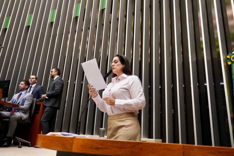 Simone incluiu no parecer a regulamentação do cordão do quebra-cabeça como símbolo oficial das pessoas com TEA, garantindo que seja reconhecido e aceito como identificação em serviços públicos e privados. ((Reprodução))