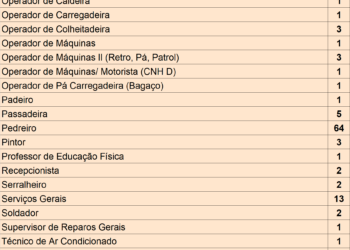 O Posto de Atendimento ao Trabalhador de Itapetininga está com 539 vagas de emprego disponíveis para nesta segunda-feira (24).