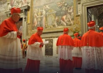 Conheça os brasileiros que podem votar no conclave para escolha do novo papa