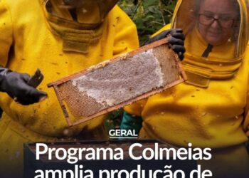 Programa Colmeias amplia produção de mel em 30% no Estado de São Paulo.
