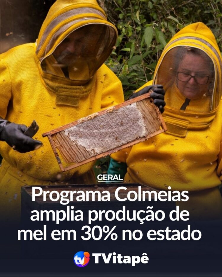 Programa Colmeias amplia produção de mel em 30% no Estado de São Paulo.