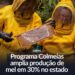 Programa Colmeias amplia produção de mel em 30% no Estado de São Paulo.