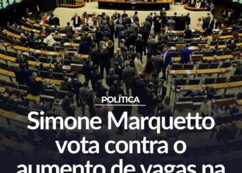 A deputada federal Simone Marquetto votou contra o aumento do número de deputados federais