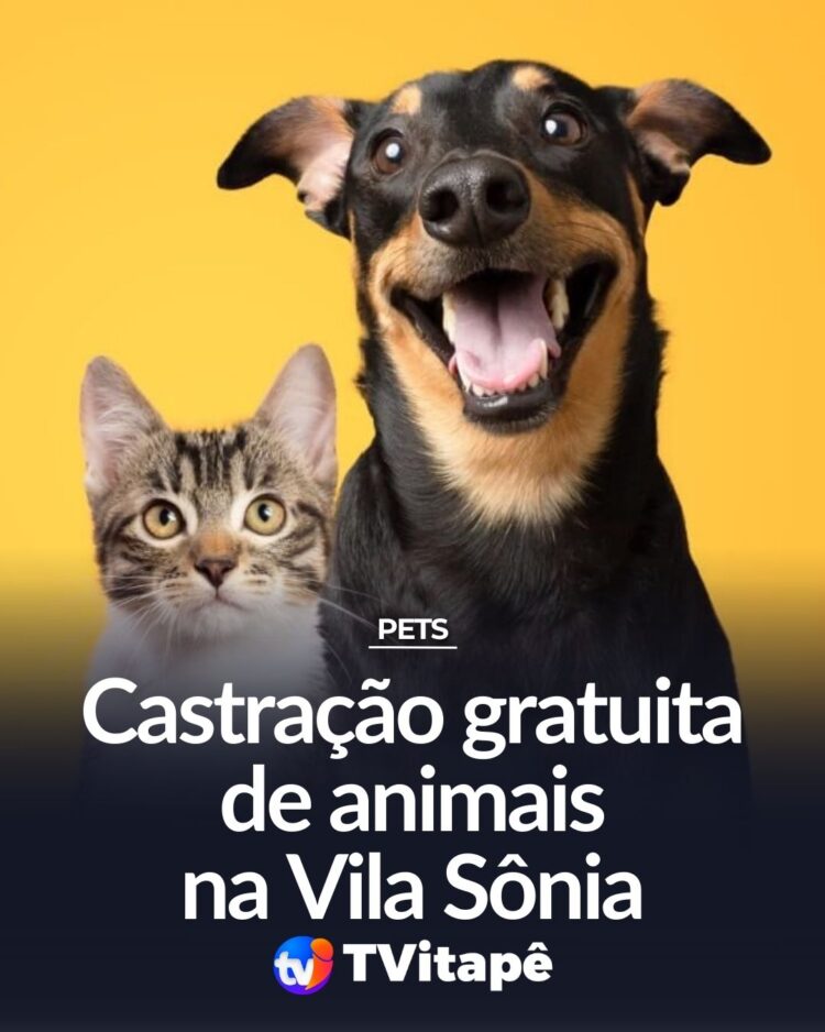 Prefeitura de Itapetininga realiza Mutirão de Castração