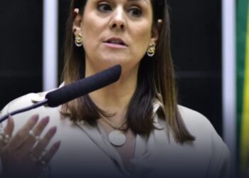 A deputada, em suas redes sociais, argumentou enfaticamente: "CHEGA DE DESCASO! Assinei a CPI do INSS em defesa dos aposentados do Brasil!", comentou.