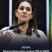 A deputada, em suas redes sociais, argumentou enfaticamente: "CHEGA DE DESCASO! Assinei a CPI do INSS em defesa dos aposentados do Brasil!", comentou.