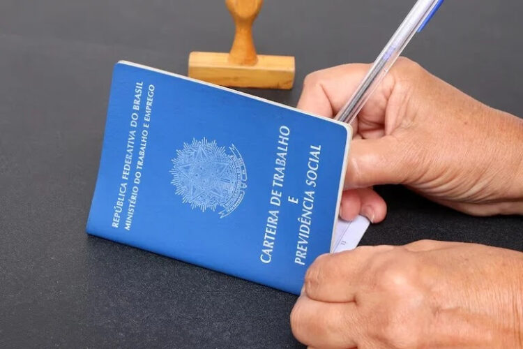 tapetininga oferece 224 vagas de emprego no início da semana